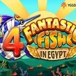 4 Fantastic Fish in Egypt